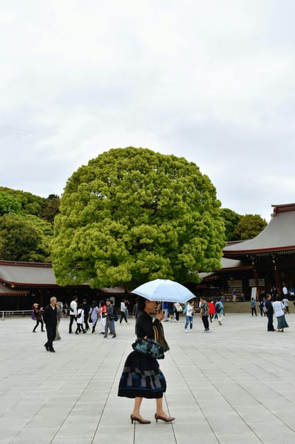Tokyo: Private Customizable City Tour with Chauffeur - Who this private tour is best for