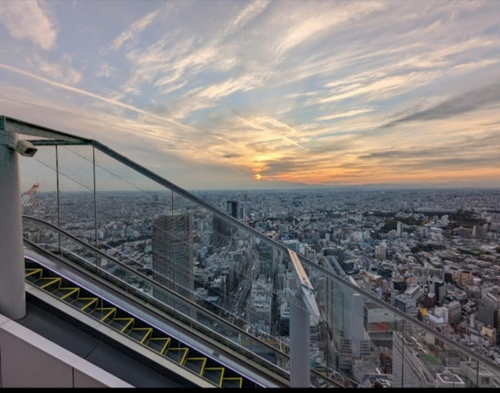 Tokyo: Private Customizable Day Tour with Chauffeur - Tsukiji Outer Market: where food culture meets guided time