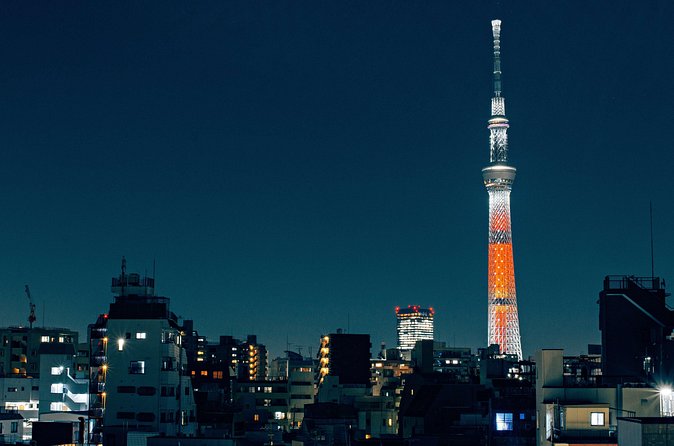 Tokyo Private Customizable Full Day Tour - FAQ