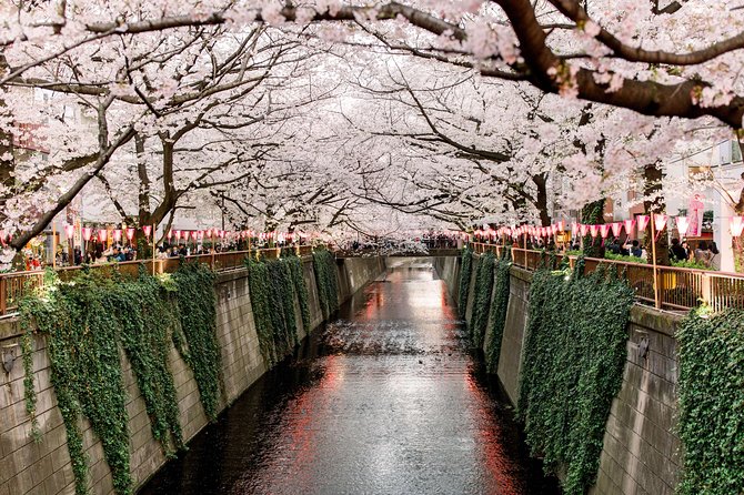 Tokyo Private Customizable Half Day Tour - Your Tokyo route options: plugging together the right neighborhoods