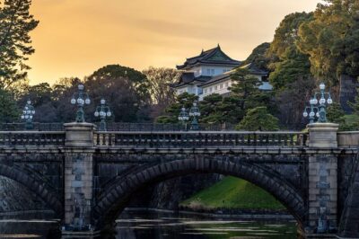 Tokyo Private Customizable Half Day Tour - Booking strength: getting reservations done for you