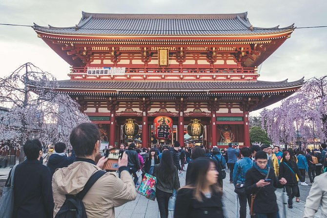Tokyo Private Customizable Half Day Tour - The guide experience: what you’ll feel during the tour
