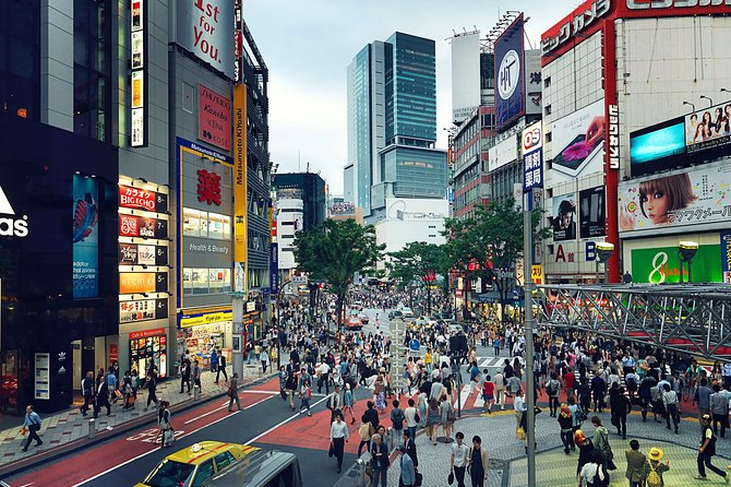 Tokyo Private Customizable Half Day Tour - Fitness and timing: how to avoid the common half-day frustration