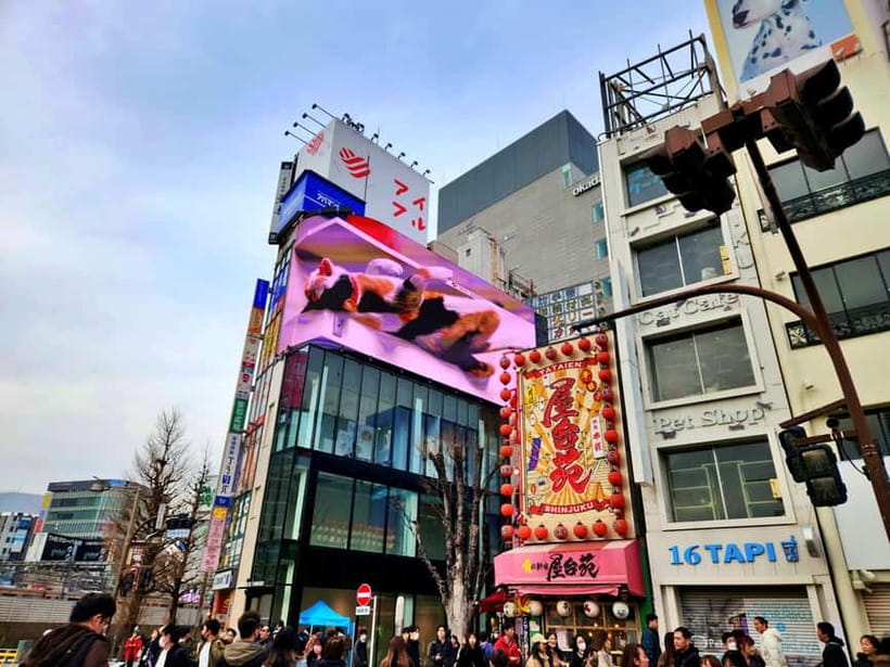 Tokyo: Private & Customizable Tour - All-in-One Experience - Best Fit: Who This Tour Works For