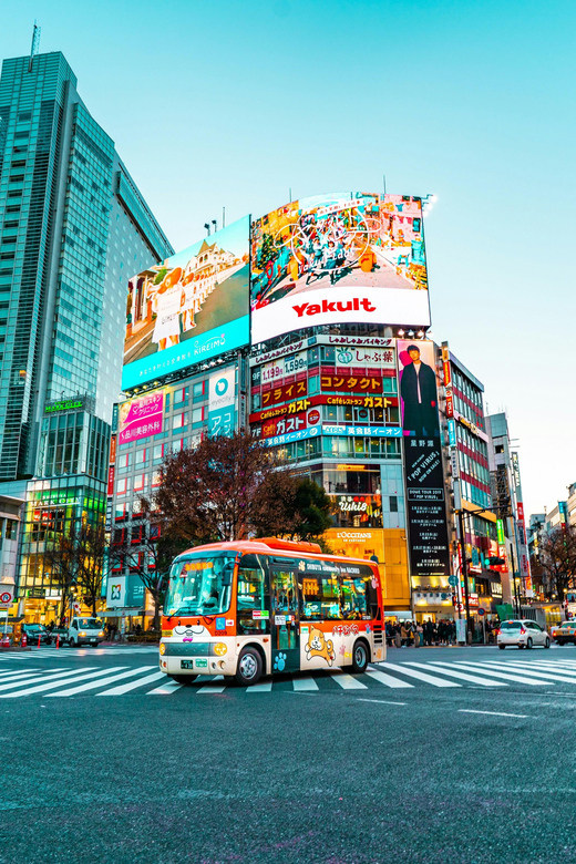 Tokyo: Private & Customizable Tour - All-in-One Experience - Shrines, Shinto, and Buddhism: Understanding What You See
