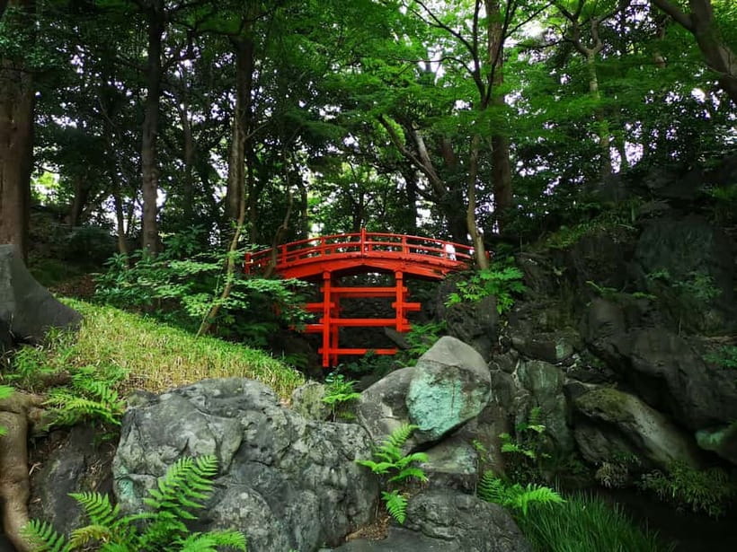 Tokyo: Private & Customizable Tour - All-in-One Experience - A Kamakura Day Trip Option: Temples, Parks, and a Slower Rhythm