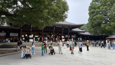 Tokyo Private Customizable Tour with a Local Guide - Nakamise Street and Sensō-ji: old Tokyo, up close