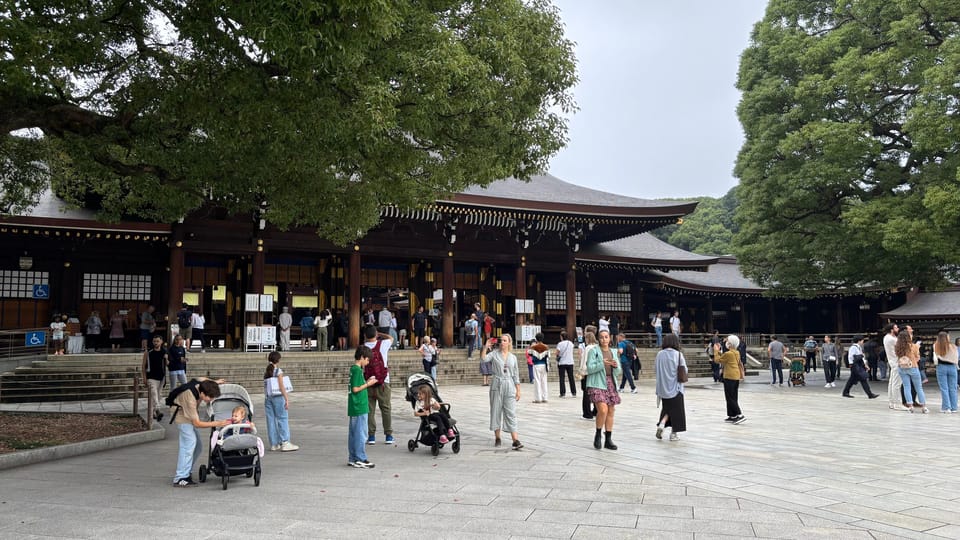 Tokyo Private Customizable Tour with a Local Guide - Nakamise Street and Sensō-ji: old Tokyo, up close