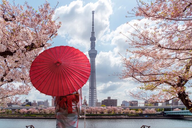 Tokyo Private Customizable Tour with English Speaking Chauffeur - Hotel pickup, private car, and why it saves real time