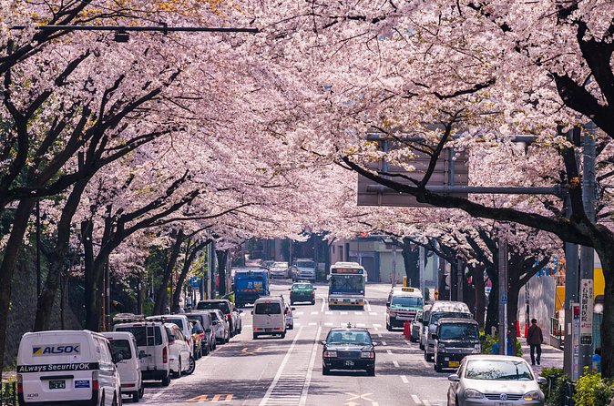 Tokyo Private Customizable Tour with English Speaking Chauffeur - The small details that change how good the day feels