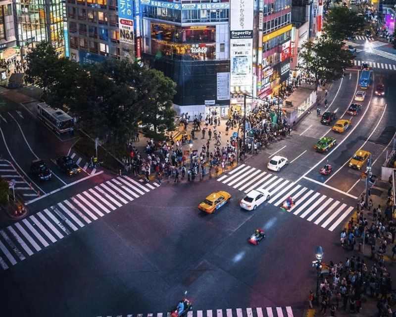 Tokyo: Private Customizable Tour with Transfer - Pickup and drop-off: the 15-minute wait rule is your friend