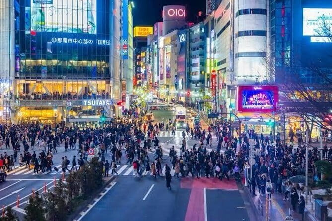 Tokyo Private Day Tour by Car with English speaking Driver - Key Things to Know Before You Go