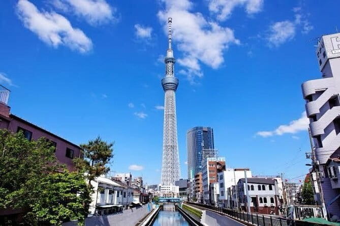 Tokyo Private Day Tour by Car with English speaking Driver - A Private Tokyo Day by Car, Not a Hop-on-Hop-off Marathon