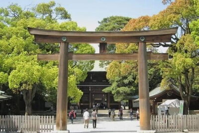 Tokyo Private Day Tour by Car with English speaking Driver - Skytree for Skyline Views (Ticket Not Included)
