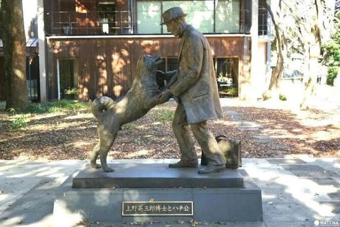 Tokyo Private Day Tour by Car with English speaking Driver Guide - Key Points at a Glance