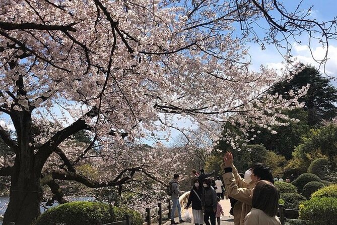 Tokyo Private Day Tour by Car with English speaking Driver Guide - Timing, Weather, and Tokyo Traffic Reality