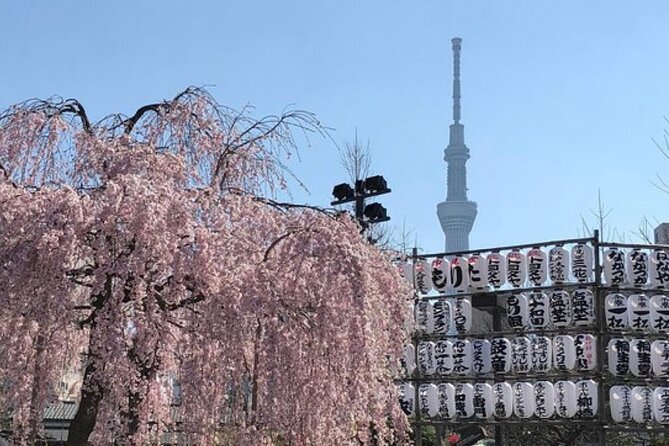 Tokyo Private Day Tour by Car with English speaking Driver Guide - Should You Book This Tokyo Private Day Tour?