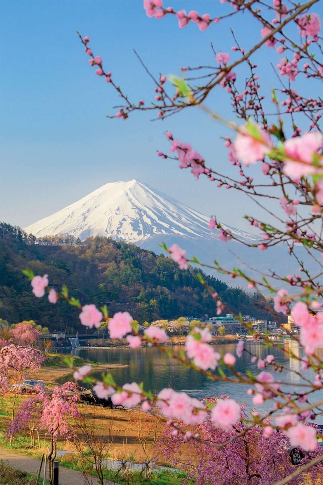 Tokyo: Private Day Trip to Mount Fuji and Hakone - Owakudani Valley: the “one more big stop” hour