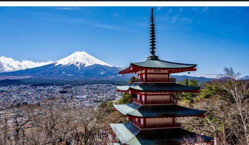Tokyo: Private Day Trip to Mount Fuji and Hakone - Oshino Hakkai water ponds: short time, big payoff