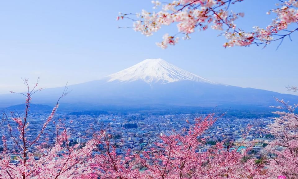 Tokyo: Private Day Trip to Mount Fuji and Hakone - Mount Fuji 5th Station: the altitude moment (and the safety briefing)