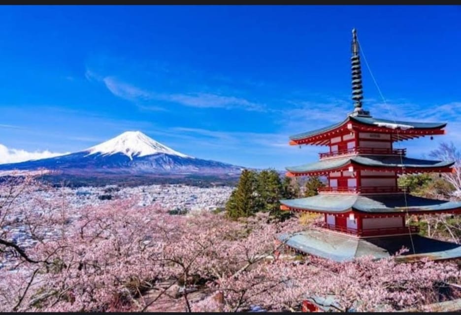 Tokyo: Private Day Trip to Mount Fuji and Hakone - Lake Kawaguchi, ropeways, and Oishi Park when the views cooperate