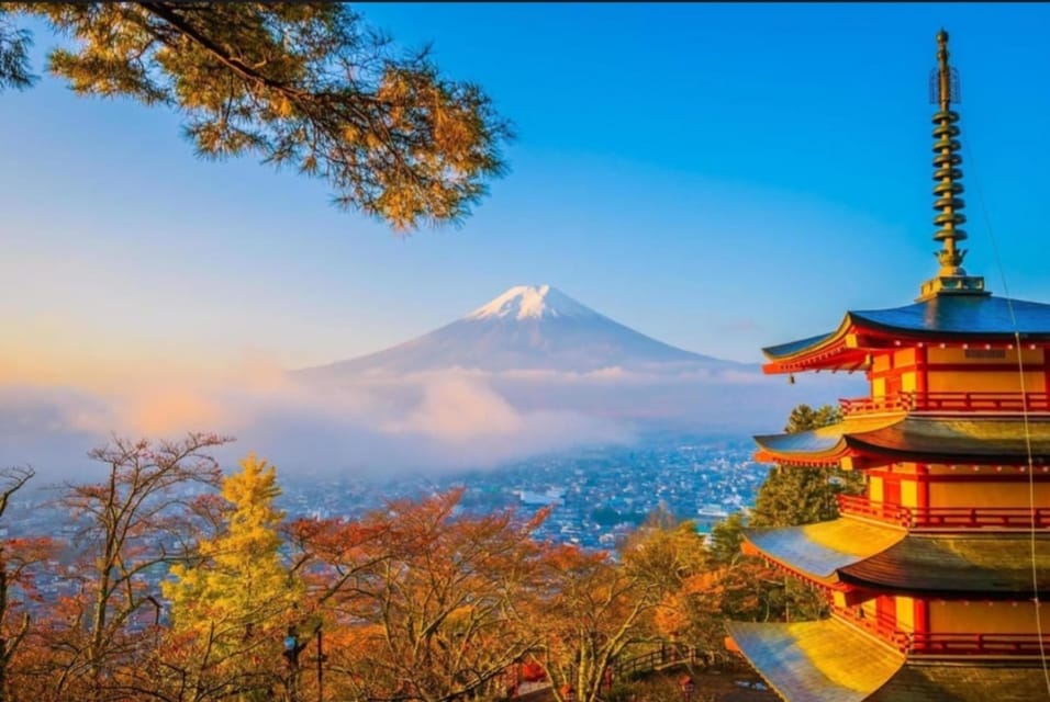 Tokyo: Private Day Trip to Mount Fuji and Hakone - Hakone Ropeway to Lake Ashi: shifting from Fuji to “other mountains”