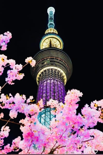 Tokyo Private Day Trip With English Speaking Driver - Skytree and Tokyo Tower: skyline photos without paying to go up