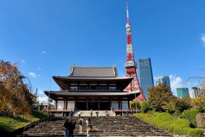Tokyo Private Full-Day Tour by Luxury Alphard with Guide - Meiji Jingu Shrine Forest Walk to Reset Your Brain