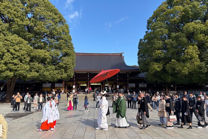 Tokyo Private Full-Day Tour by Luxury Alphard with Guide - Nakamise Shopping Street: Snacks and Souvenirs at a Human Pace