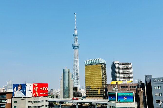 Tokyo Private Full-Day Tour by Luxury Alphard with Guide - Tokyo Skytree Plus Optional Stops Like Ginza, Takeshita, Odaiba