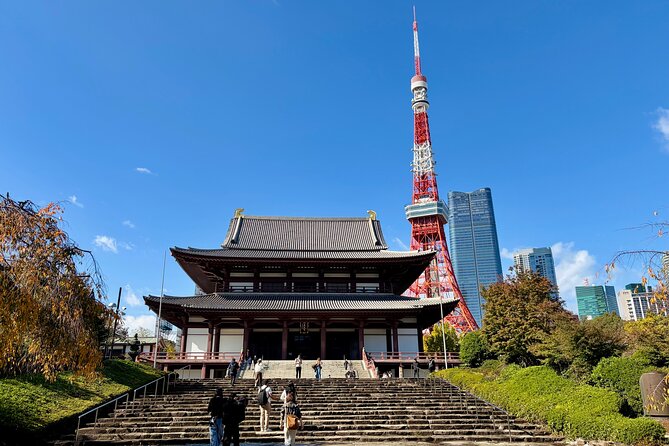 Tokyo Private Full-Day Tour by Luxury Alphard with Guide - Meiji Jingu Shrine Forest Walk to Reset Your Brain