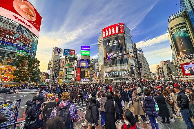 Tokyo Private Guided 1/2-Day Walking Subway Tour English guide - Price and what you’re actually buying
