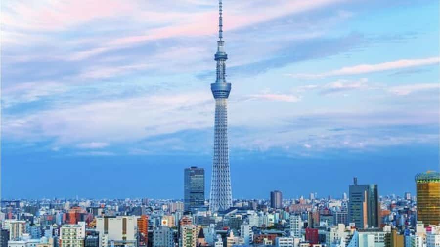 Tokyo: Private Instagramable Customised Tokyo City Day Tour - Key points before you go