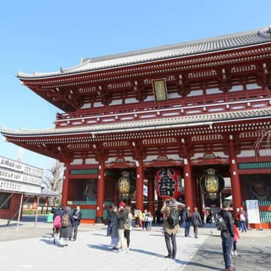 Tokyo: Private Instagramable Customised Tokyo City Day Tour - How a private itinerary makes Tokyo feel less chaotic