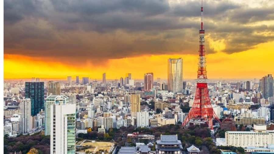 Tokyo: Private Instagramable Customised Tokyo City Day Tour - Price and value: $421 for up to 6 (and what you’re paying for)