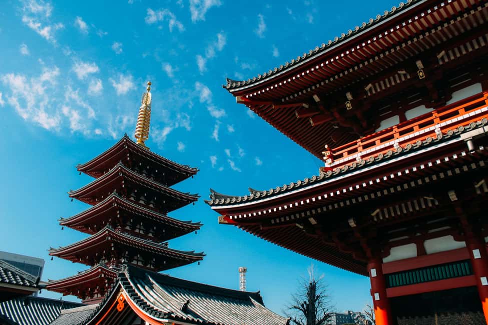 Tokyo Private Local Walking Tour (Must See Places in 1 Day) - Imperial Palace area and Meiji Jingu: where Tokyo slows down on purpose