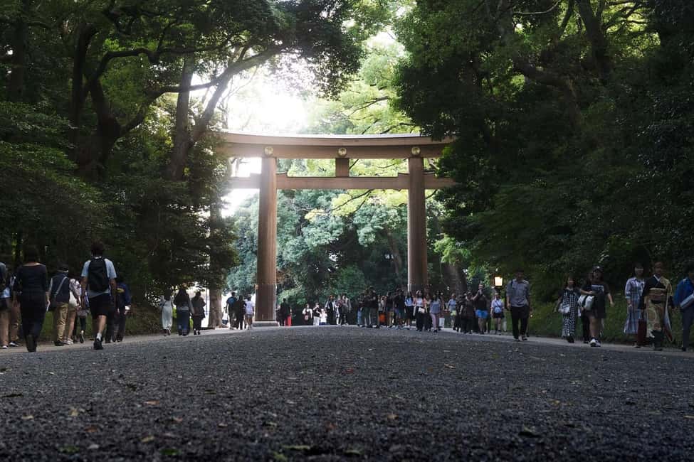 Tokyo: Private Meiji Shrine & Harajuku Highlights Tour - Guide Quality Is the Real Difference Here