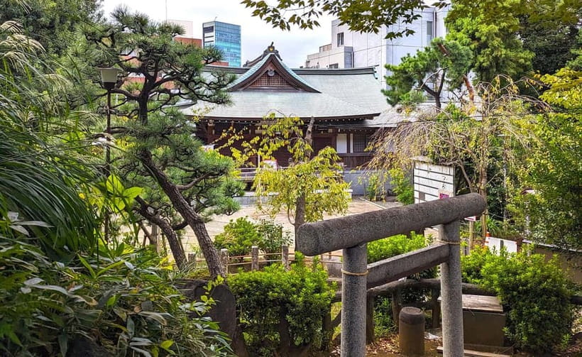 Tokyo: Private Morning Run with Sento Bath Experience - Tokyo by 7 a.m.: why this kind of run works so well