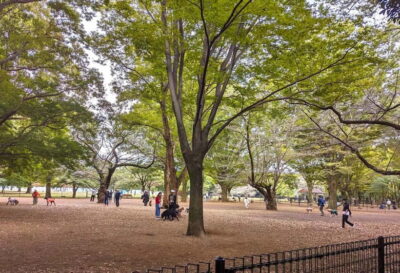 Tokyo: Private Morning Run with Sento Bath Experience - Meeting in front of Dior at Harakado: first steps and what to bring