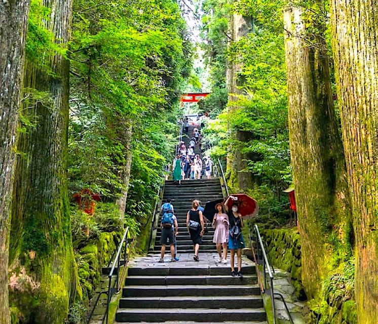 Tokyo: Private Mount Fuji and Hakone Day Trip with Guide - Key things to know before you go