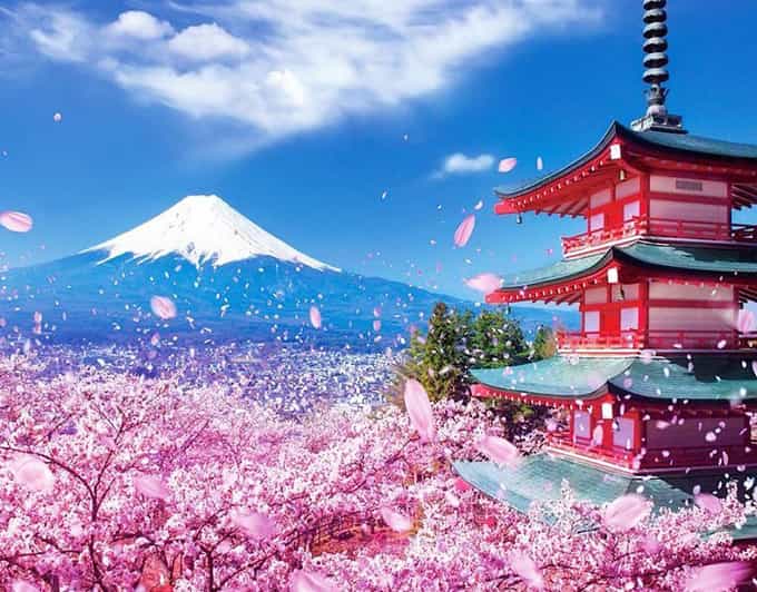 Tokyo: Private Mount Fuji and Hakone Day Trip with Guide - Mt. Fuji and Hakone in One Long Day: What the 10 Hours Feel Like