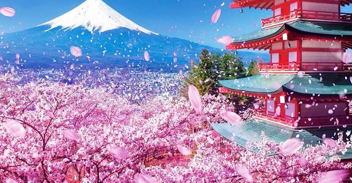 Tokyo: Private Mount Fuji and Hakone Day Trip with Guide - Kitaguchi-hongu Fuji Sengen Shrine: A Short Visit That Changes the Mood