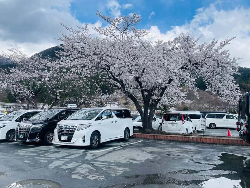 Tokyo: Private Mount Fuji Day Trip with Private Guide - Oshino Hakkai: spring ponds, calm walks, and easy culture time