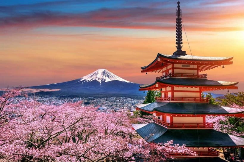 Tokyo: Private Mount Fuji Day Trip with Private Guide - The morning plan: Tokyo pickup and the 8:00 AM advantage