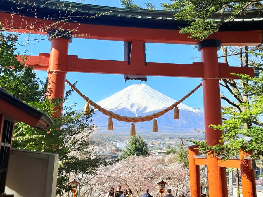 Tokyo: Private Mount Fuji Tour with Pickup and Drop-Off - Oshino Hakkai: spring water, thatched roofs, and a steady pace