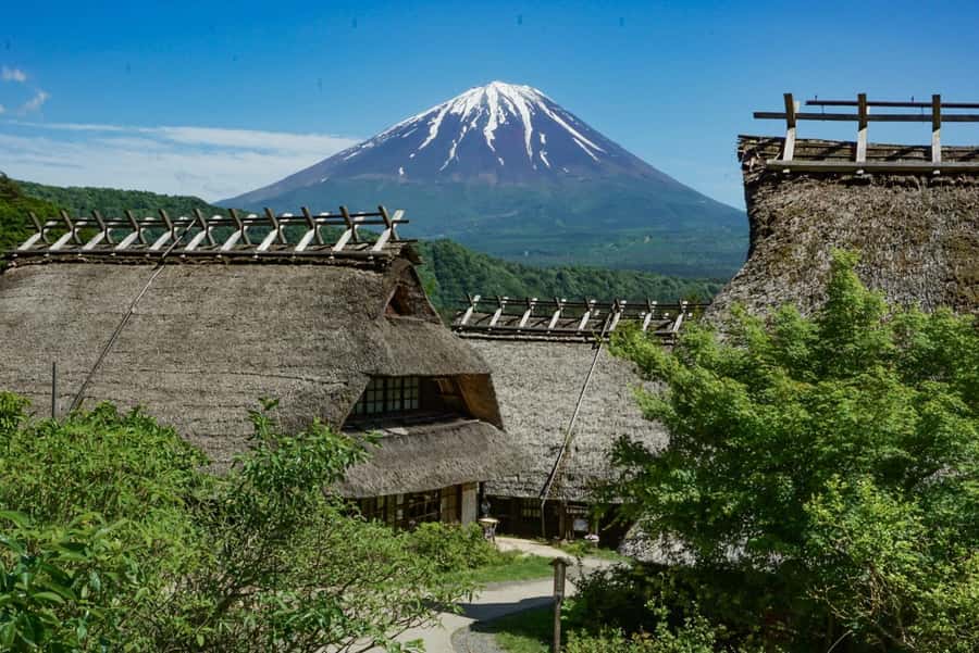 Tokyo: Private Mount Fuji Tour with Pickup and Drop-Off - The 5th Station decision: worth it, but not guaranteed