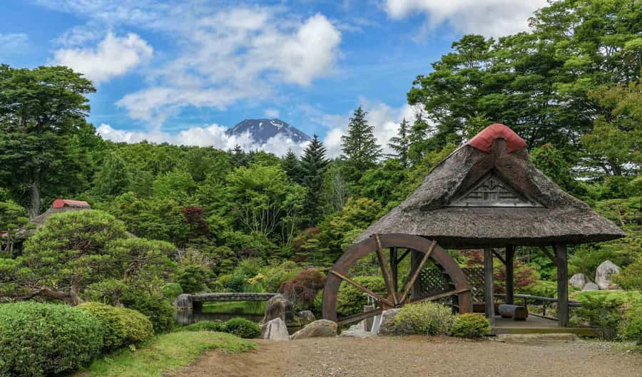 Tokyo: Private Mount Fuji Tour with Pickup and Drop-Off - How guides keep timing under control (and why it matters on Fuji days)