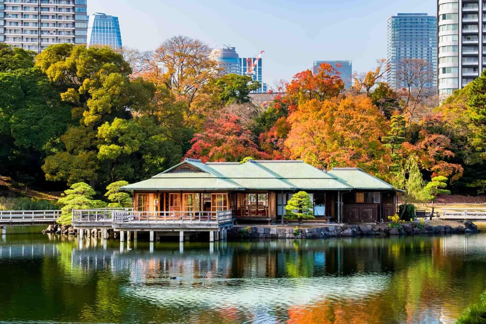 Tokyo: Private Night Tour with English-Speaking Driver - Ginza, Tokyo Station photos, and Tokyo Tower area: classic Tokyo with fewer logistics headaches