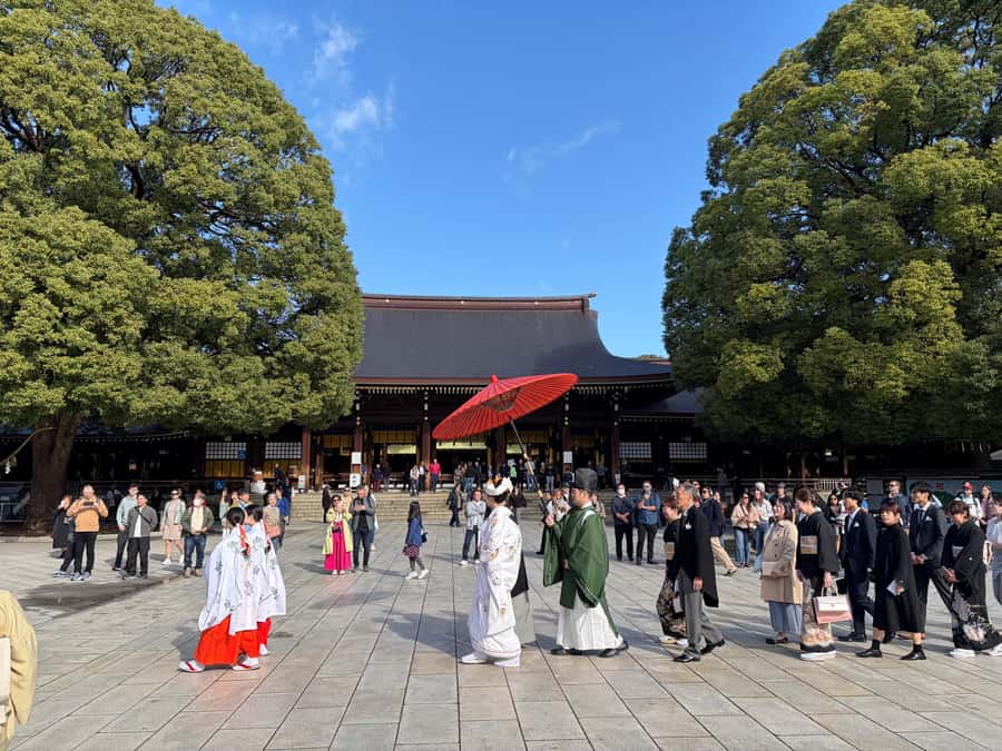 Tokyo: Private Shinto Shrines Tour by Car with Local Guide - Key things I’d watch for before you go
