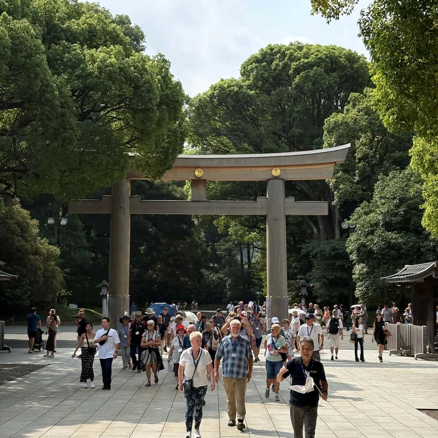Tokyo: Private Shinto Shrines Tour by Car with Local Guide - The Half-Day Shrine Plan That Actually Feels Manageable
